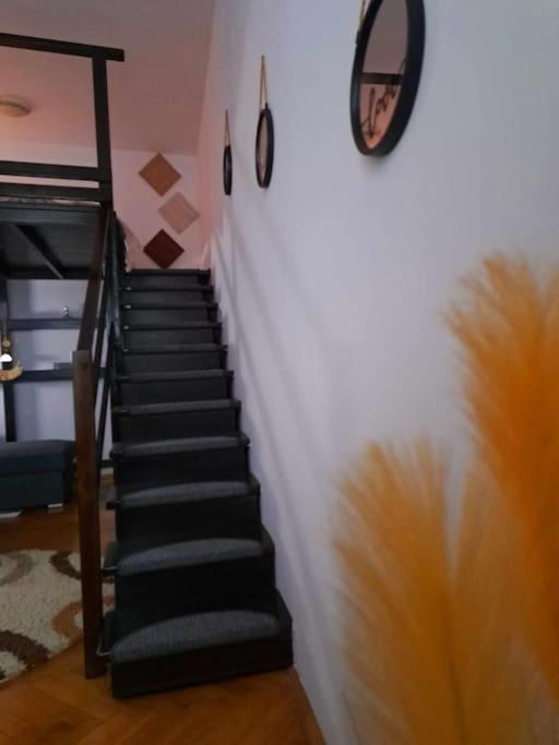 Sofia'S Home Comfy Studio In The Old Town Brašov Exteriér fotografie